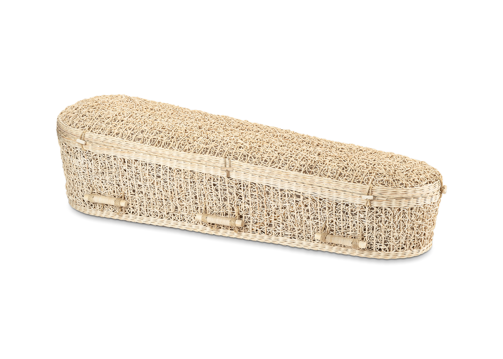 25. Artemisia